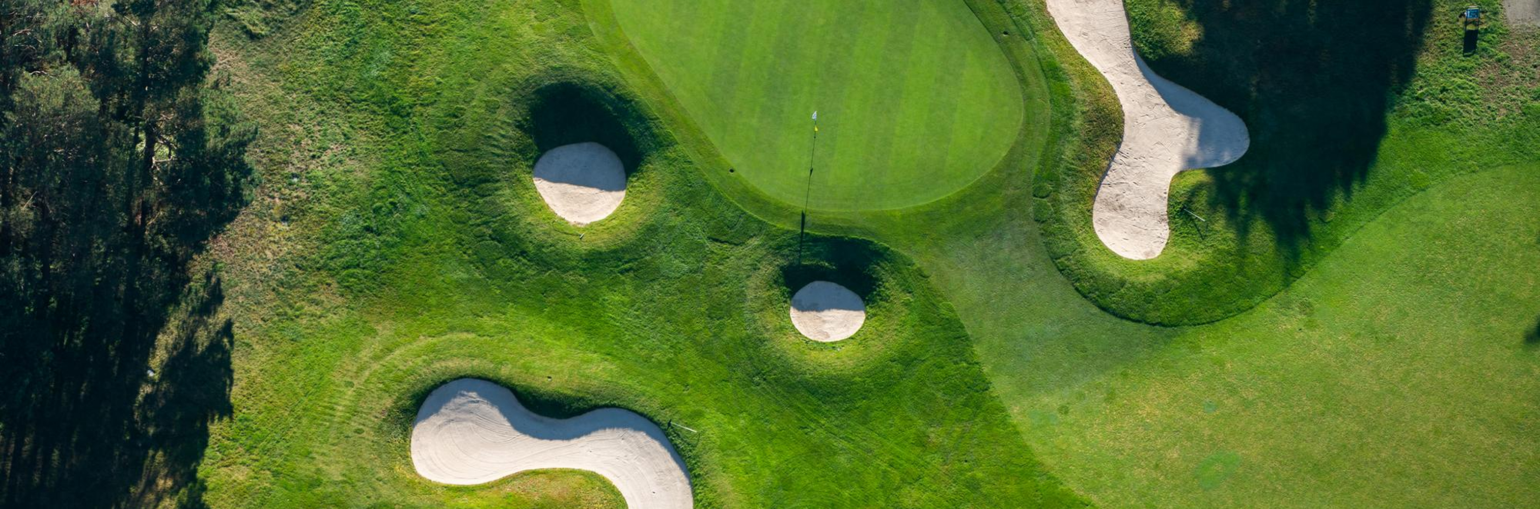 NICEGOLF