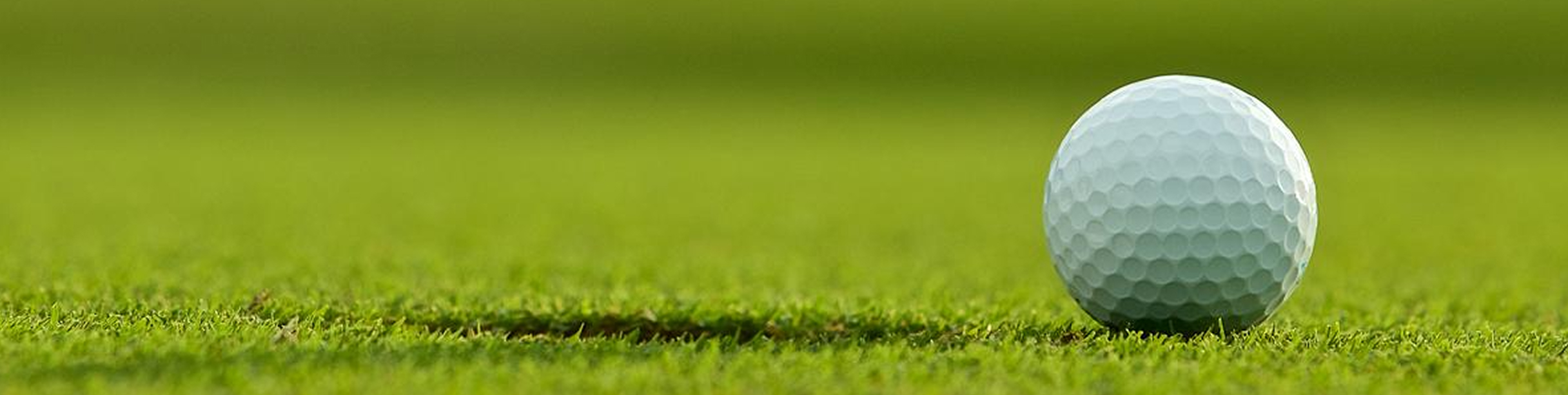 NICEGOLF