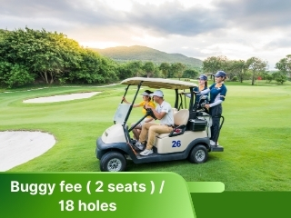 Buggy Fee